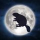 La luna del castoro - Castoro sulla luna