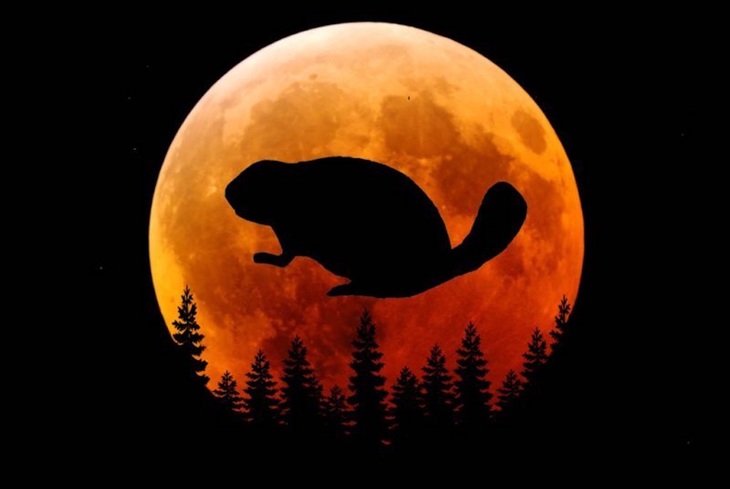 La luna del castoro - Luna Rossa e ombra di castoro